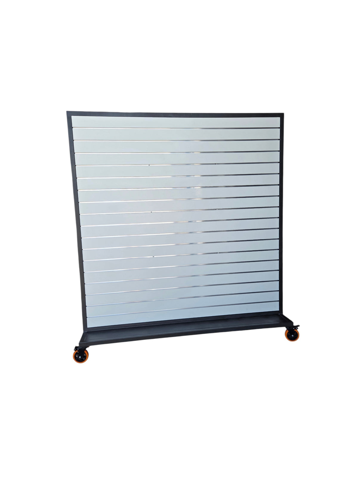 Carrello Espositore Multifunzione